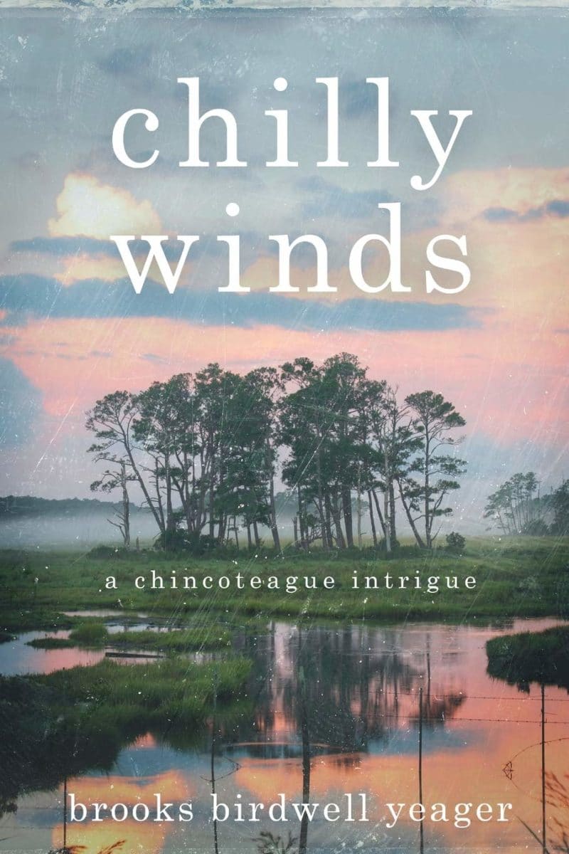 chilly winds - birdwell books - by brooks yeager